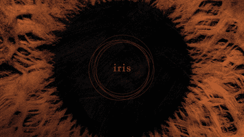 Owl-Company : "Iris" CD & Digital 9th November 2018 Eclipse Records.