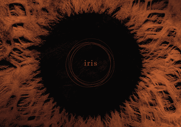 Owl-Company : "Iris" CD & Digital 9th November 2018 Eclipse Records.